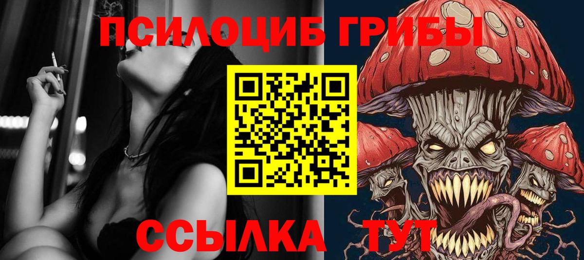 Борзя  Галлюциногенные грибы GOLDEN TEACHER  Вход с VPN  Галлюциногенные грибы мухоморы 